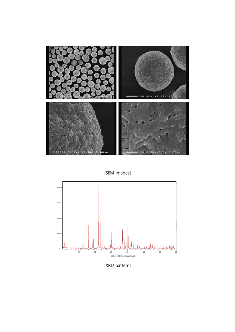 Semi-dense-type Biomaterials 2