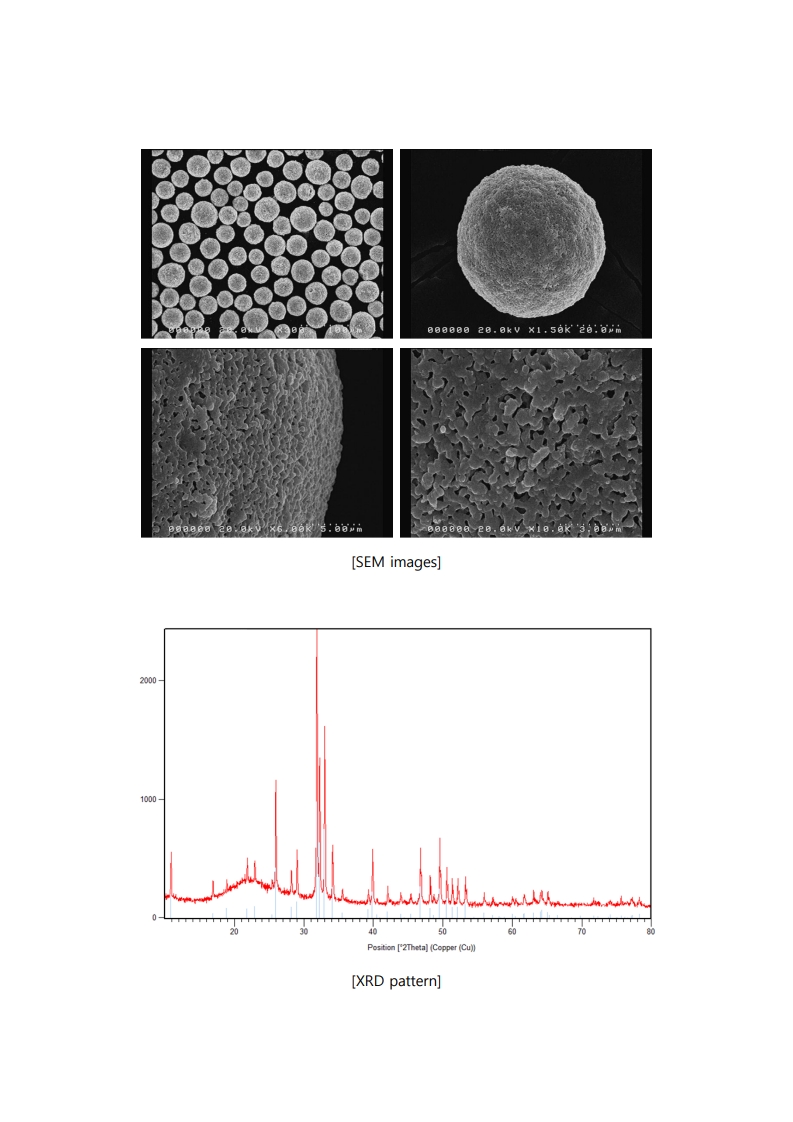 Surface-porous Biomaterials 2