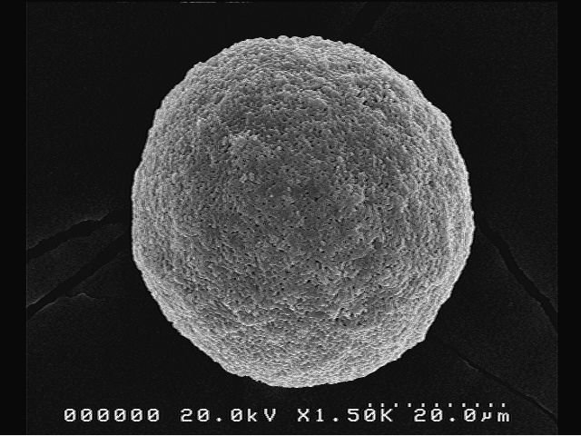 Surface-porous Biomaterials