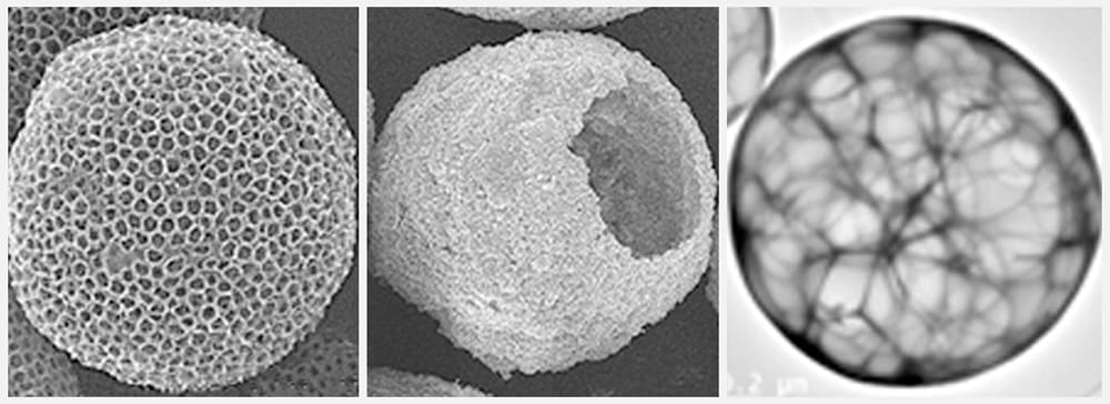 MORPHOLOGY Engineering
