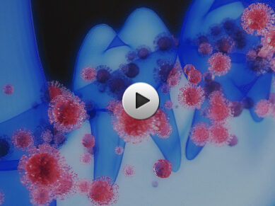 잇몸 염증, 치주균 흡착 및 제거